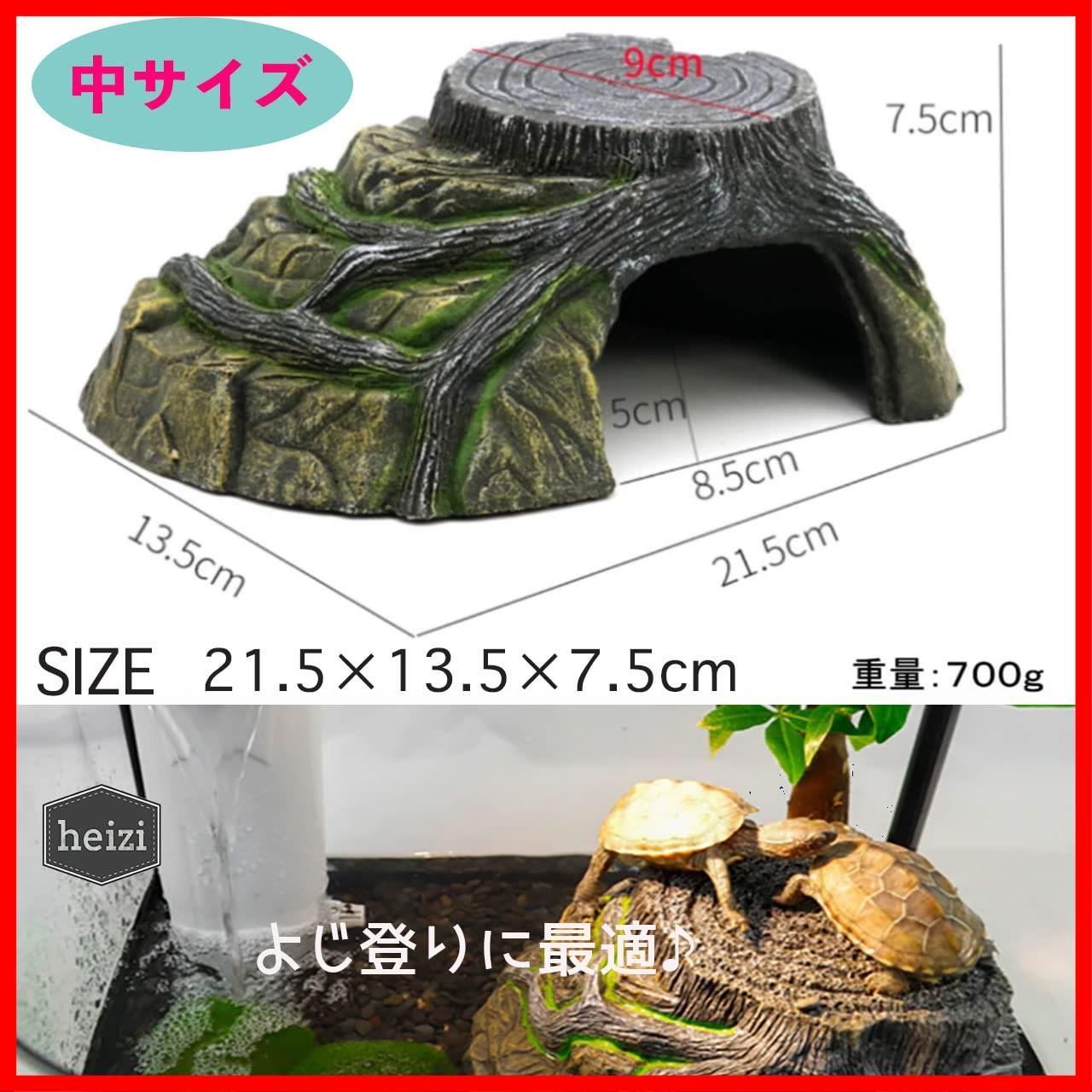 亀 浮島