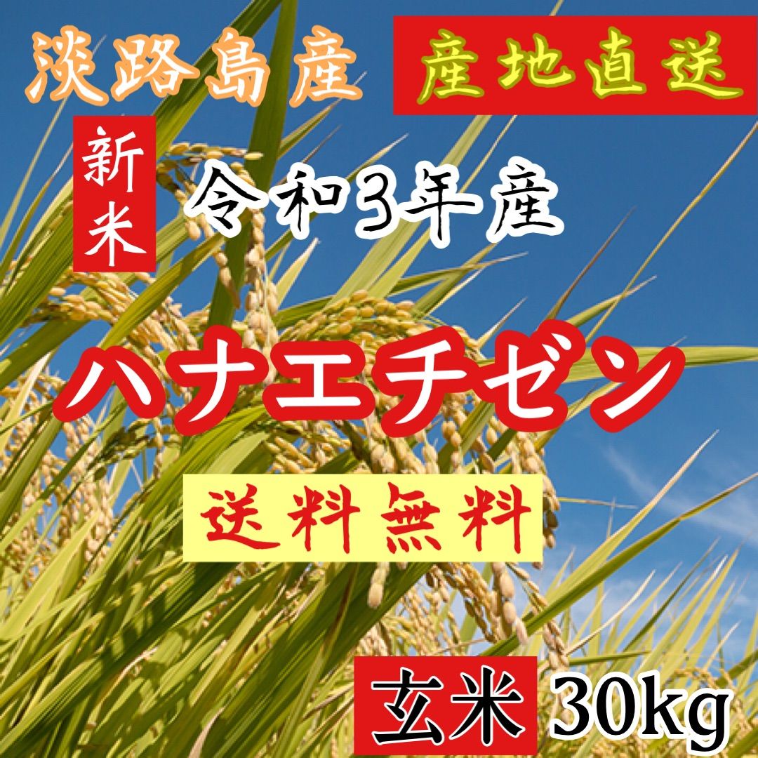 新米 令和3年産 ハナエチゼン 玄米30キロ 淡路島産 精米小分け可 30kg - 米