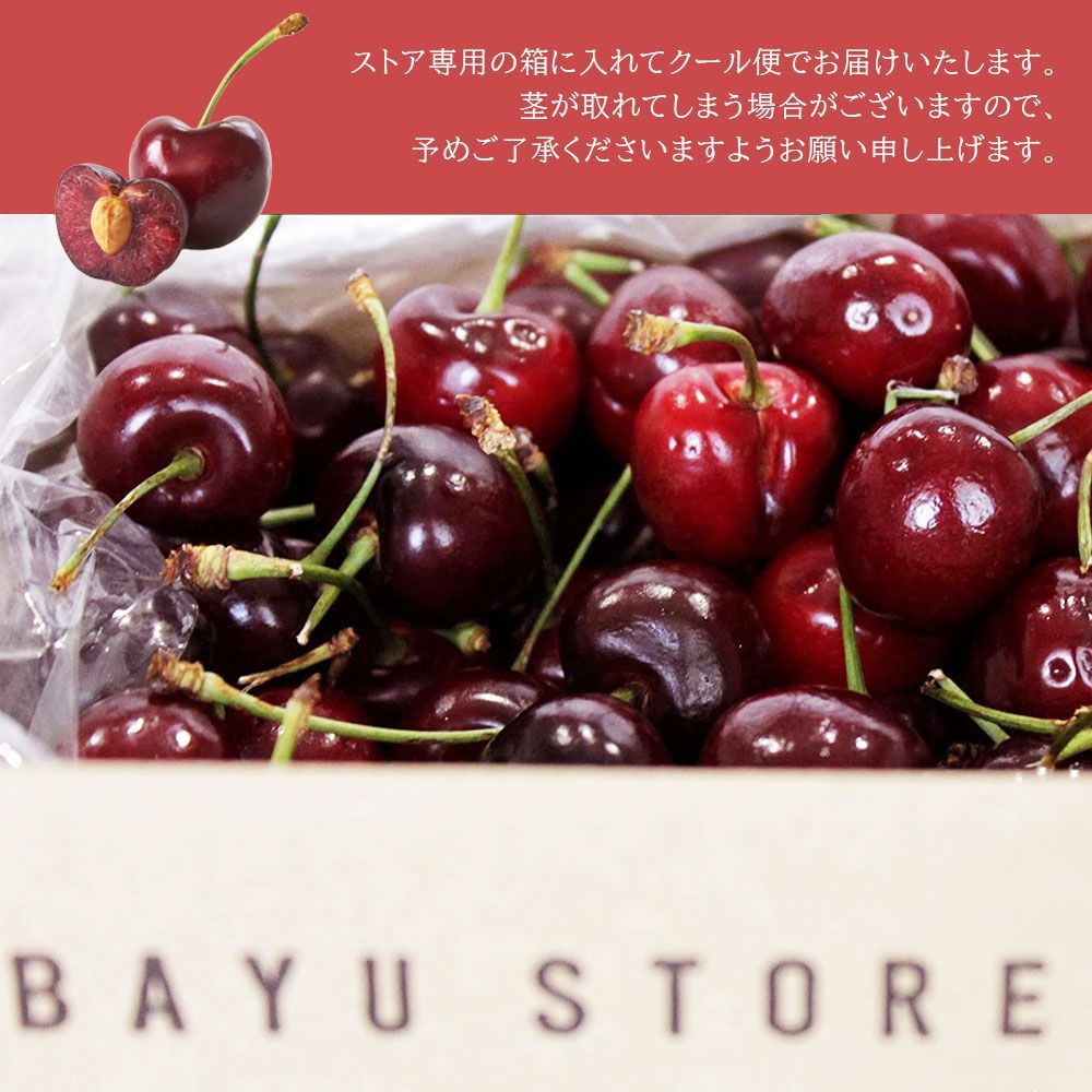 アメリカンチェリー 約500g 大粒 (国産さくらんぼ2Lサイズ強