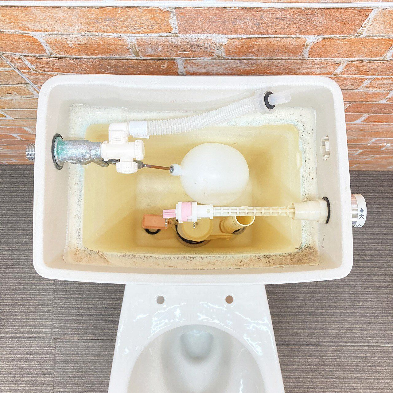 SC1 パステルアイボリー