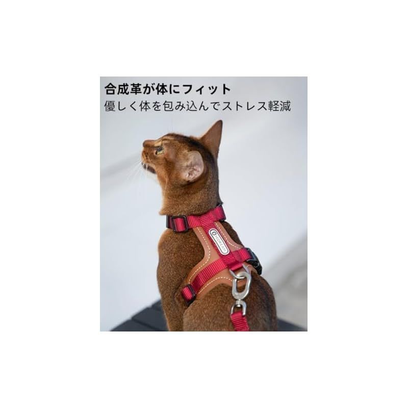 ねこりーさん Lucky Friends 抜けない 猫 ハーネス リード付き 散歩用 サイズ