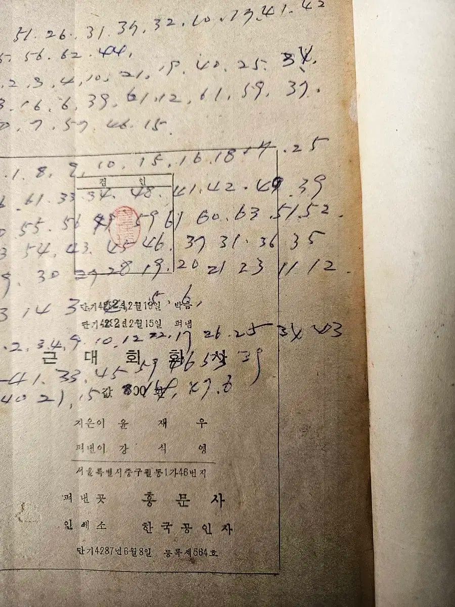 1954 年