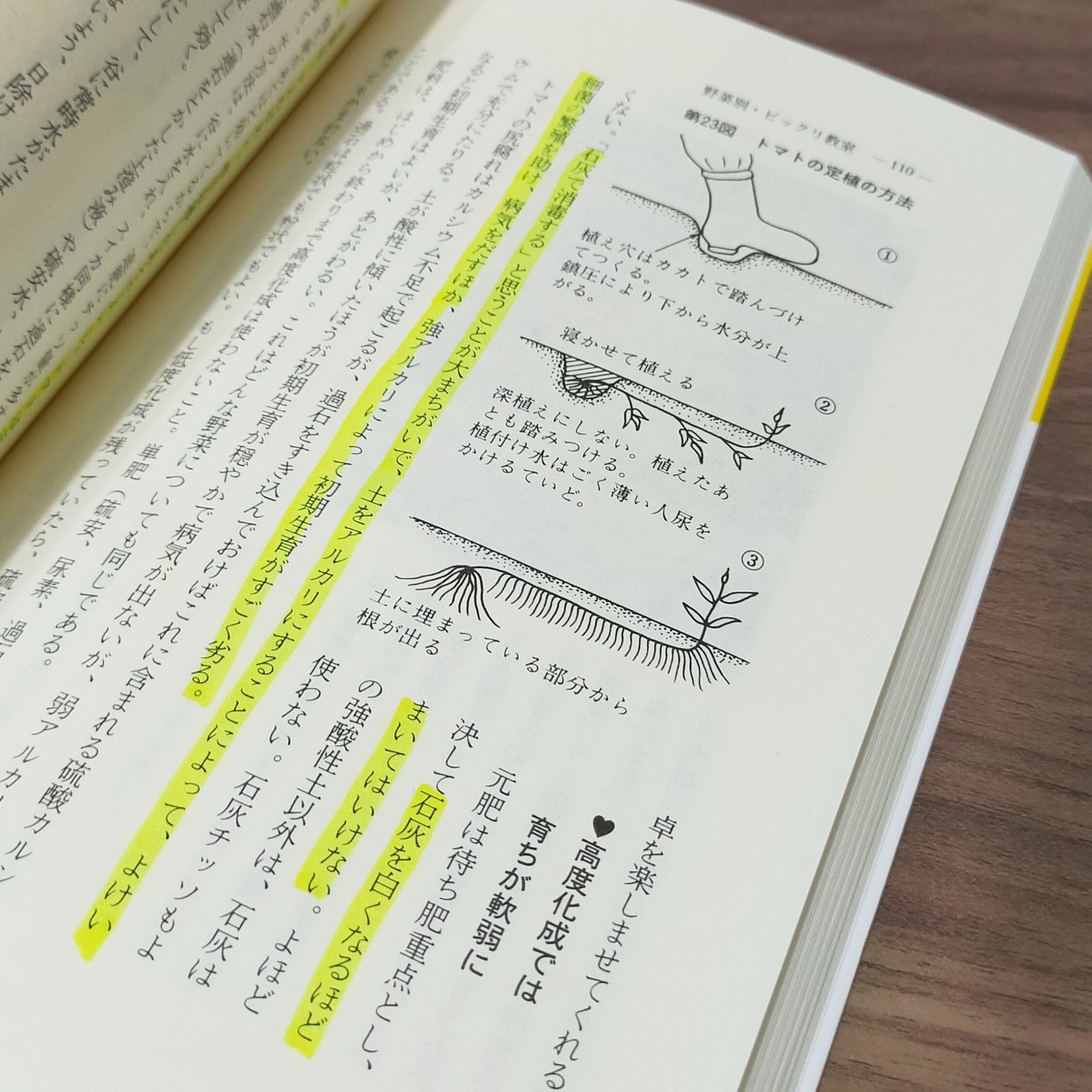 ここまで知らなきゃ損する 野菜のビックリ教室 / 井原豊 - メルカリ