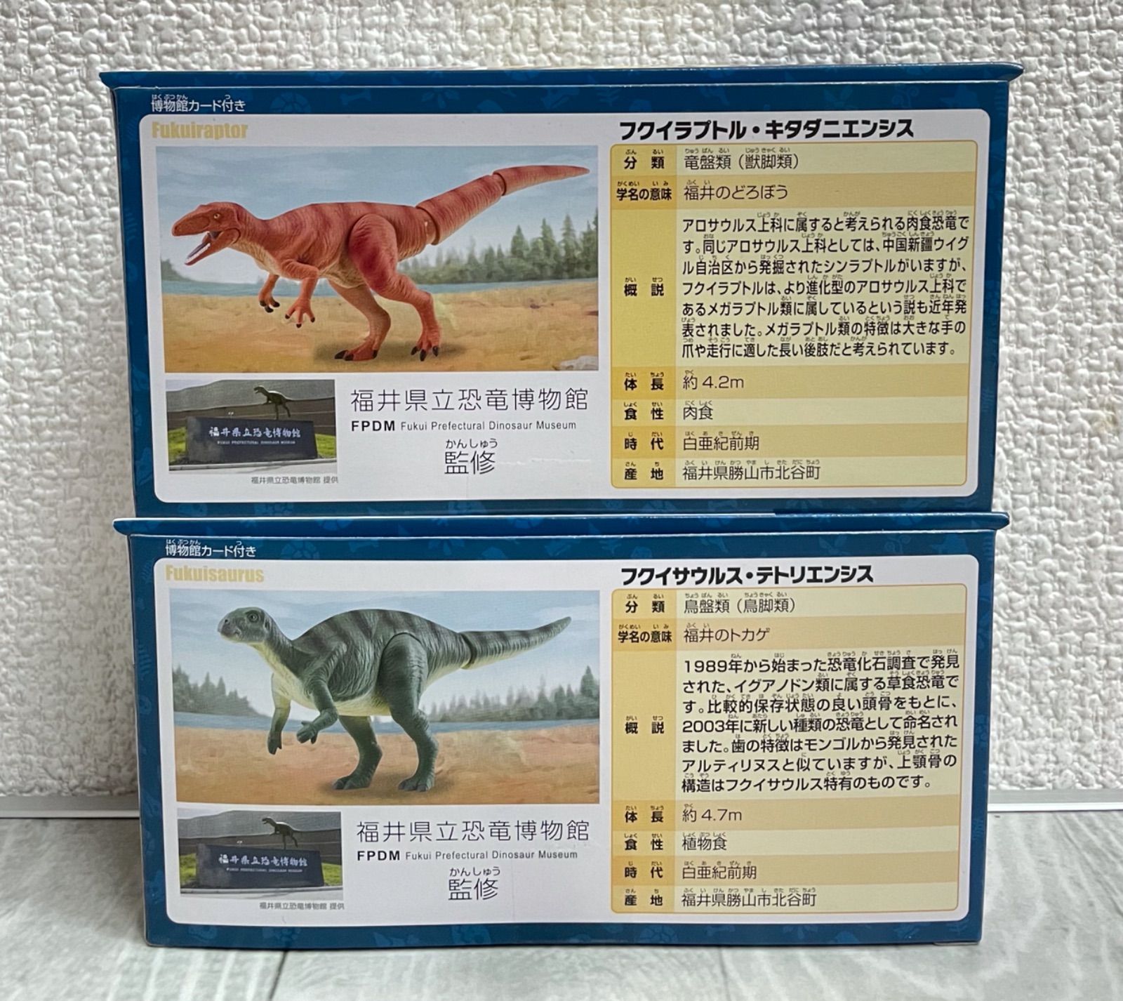 アニア 福井県立恐竜博物館 恐竜6個セット 新品 フクイラプトル フクイ