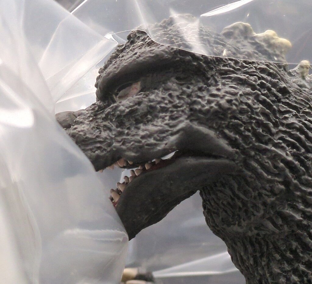 エクスプラス 東宝大怪獣シリーズ ゴジラ1975年版 少年リック限定版