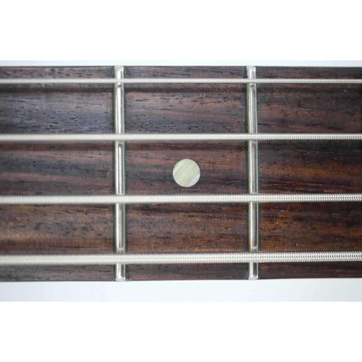 ＧＩＢＳＯＮ ＴＨＵＮＤＥＲＢＩＲＤ