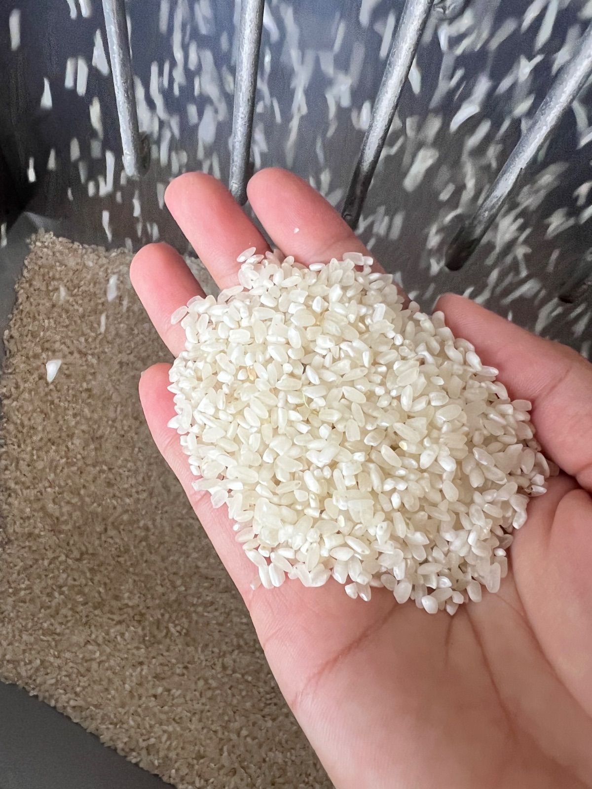 コシヒカリ 中米 ダンボール込み30キロ