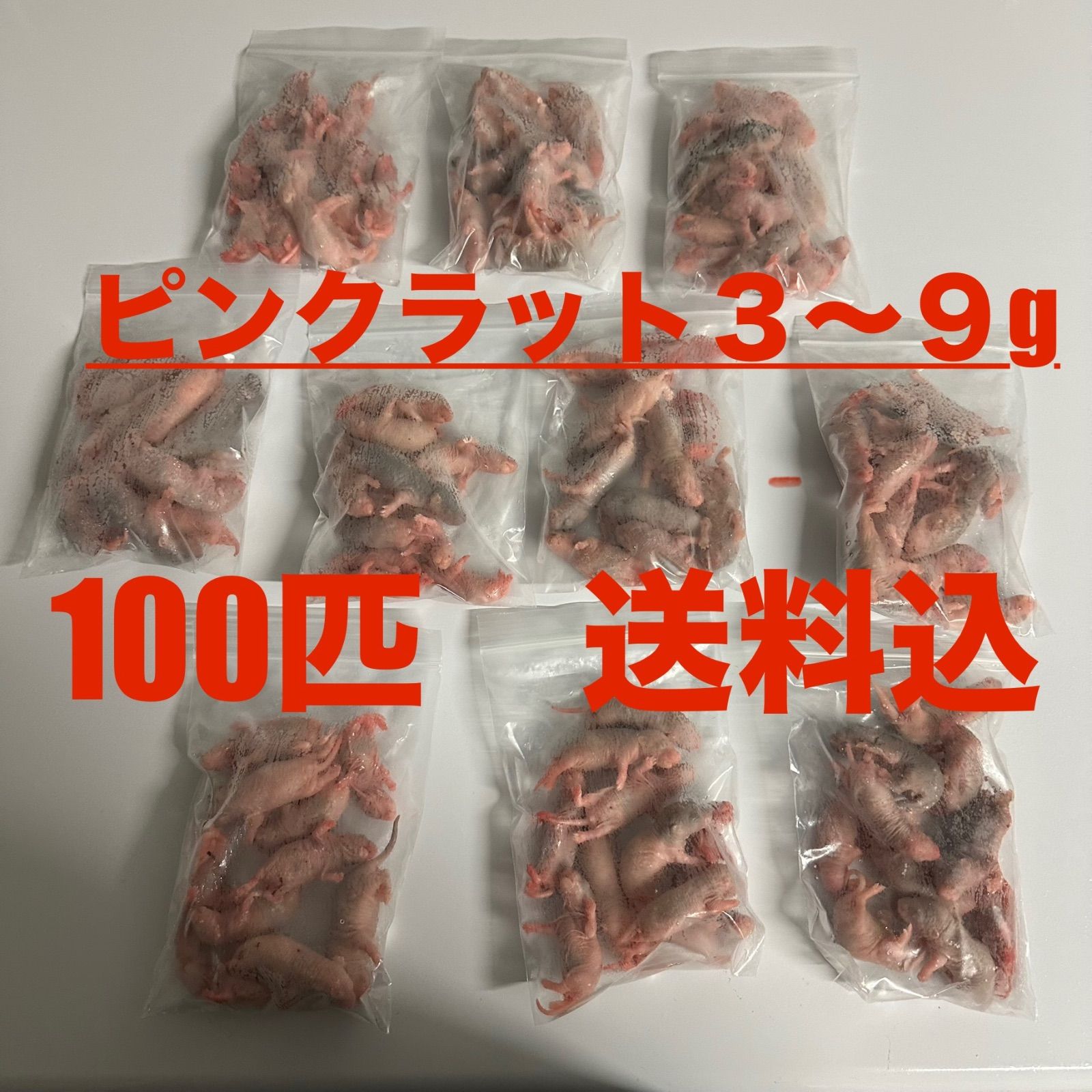 送料無料 冷凍ピンクマウスL100匹 楽天市場】ピンクマウス Lの通販