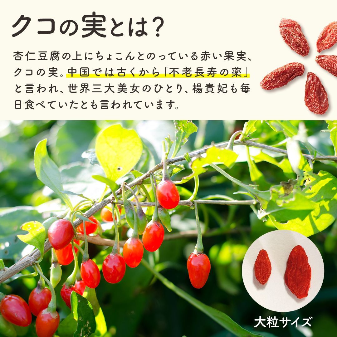 有機クコの実 大粒100gx2袋 化学肥料農薬不使用 無添加 寧夏産 肉厚 無農薬 お茶 くこのみ 枸杞子 スーパーフード ドライフルーツ  薬膳食材2023年収穫の低温生乾燥で濃厚な甘みの枸杞 新パッケージ - メルカリ