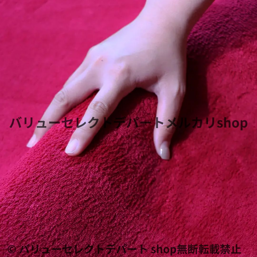 200×100 カーペット