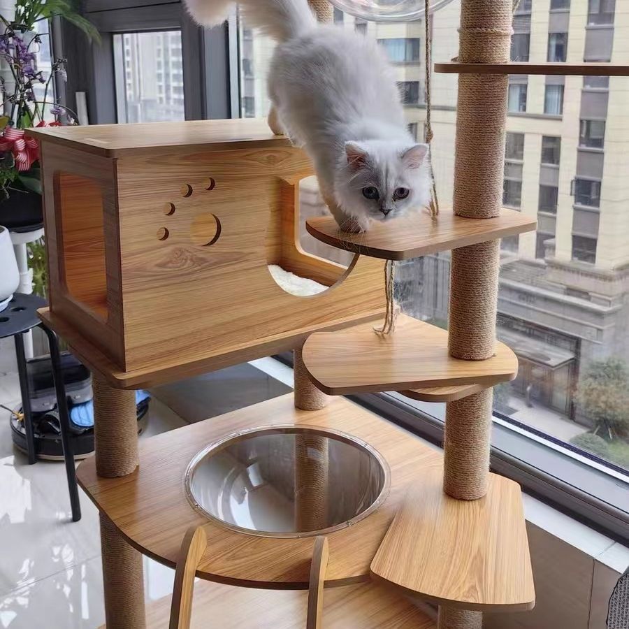 爪とぎ