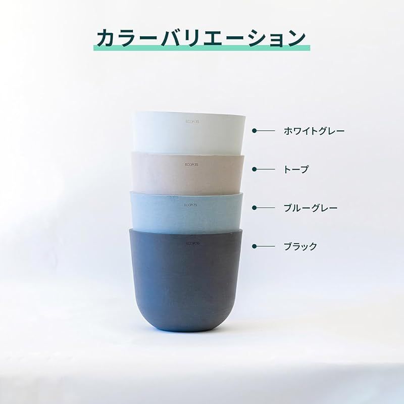 鉢 M