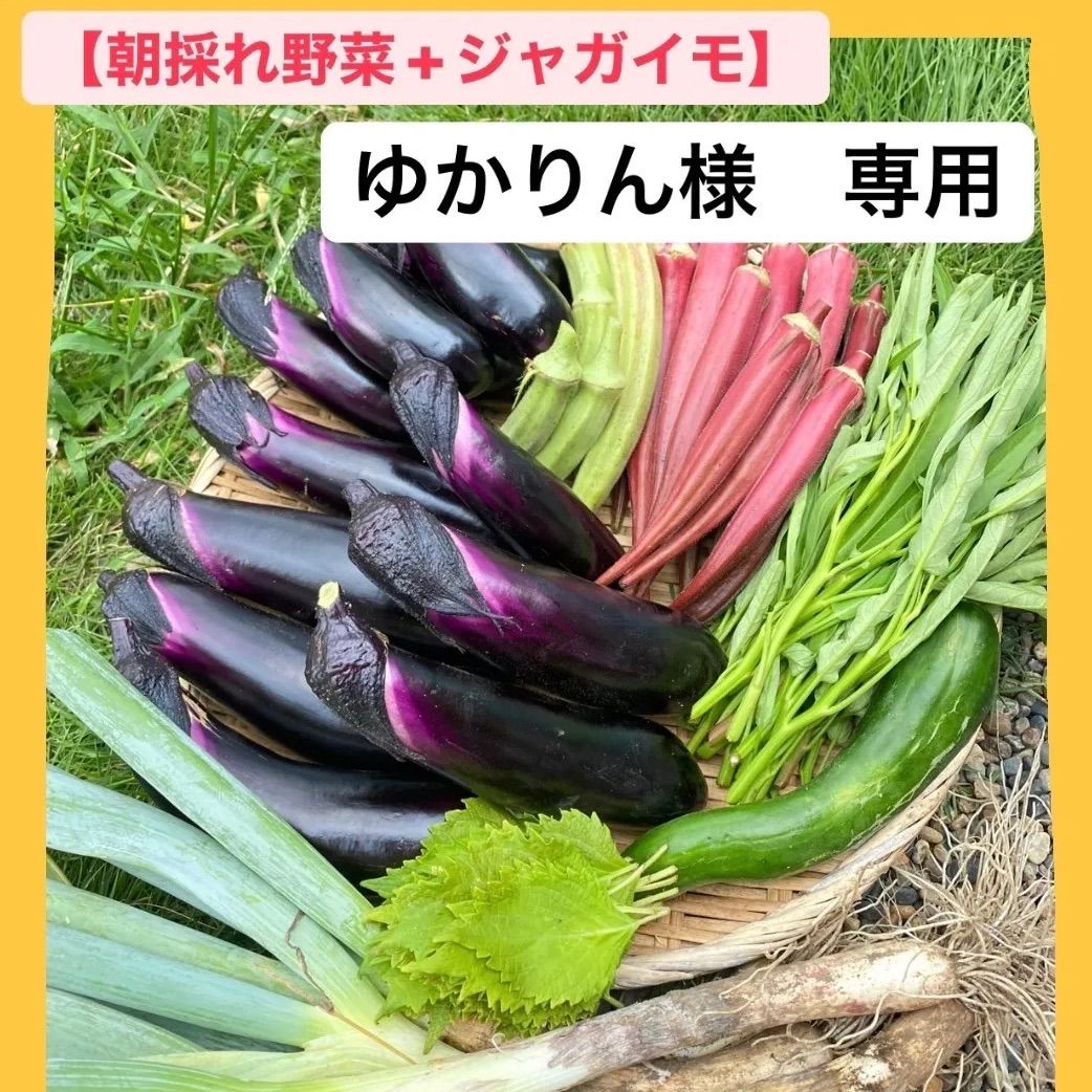 ゆかりん☆様専用ページ 【公式通販】