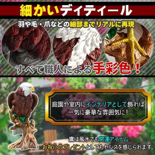 リアルイーグル 鷹 鷲 タカ ワシ 置物 大迫力 効果絶大 30cm 鳥よけ