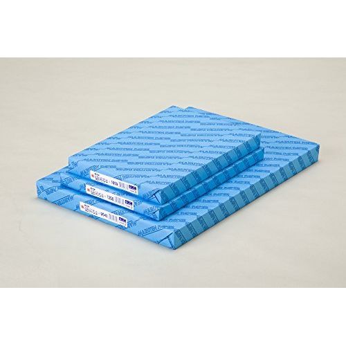 まとめ買い ゴークラ 雪だるま画学紙 4切 165 100枚 Y-1654 ×3セット