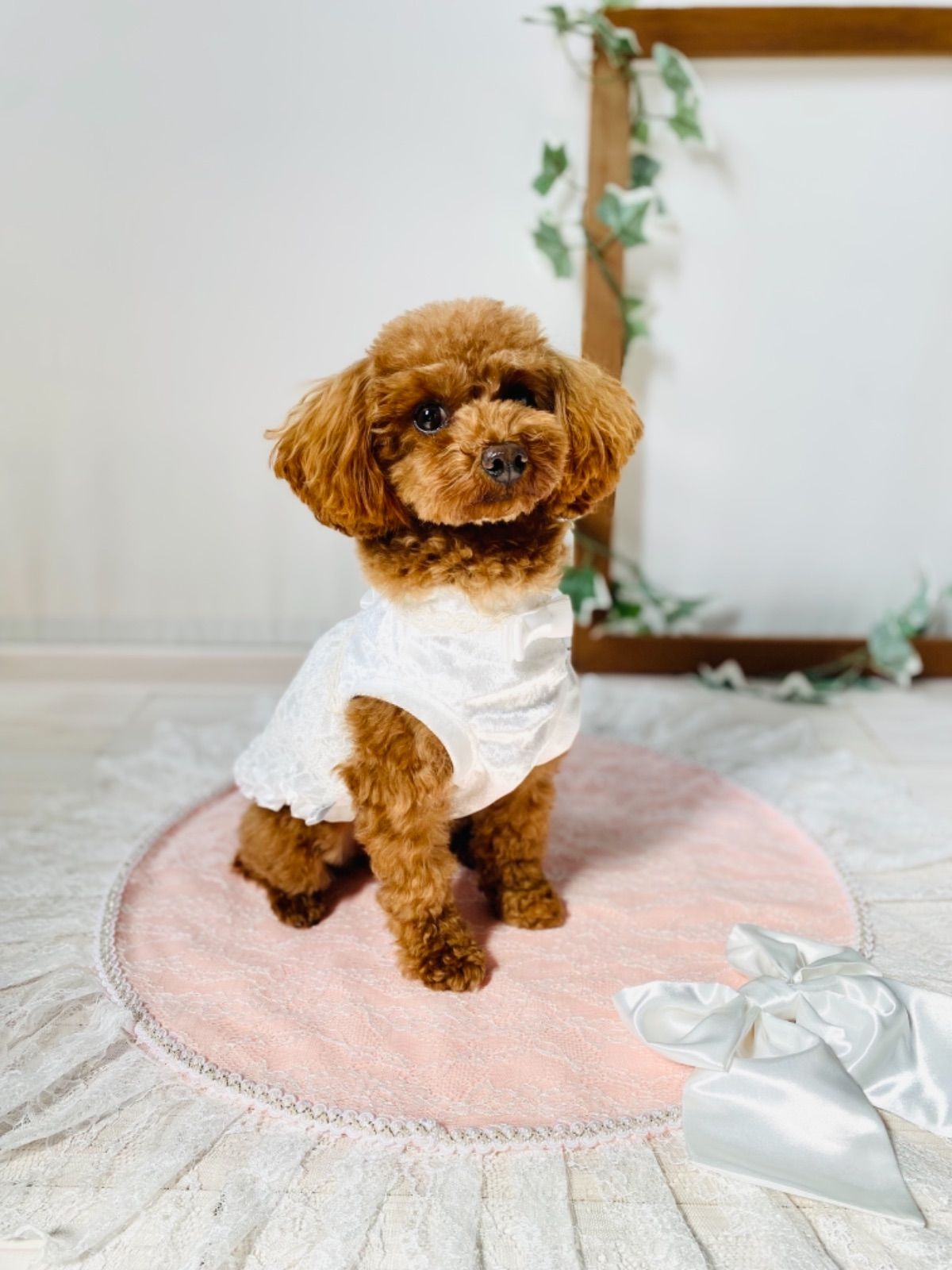 クリアランス プリンセスカフェマット ピーチ