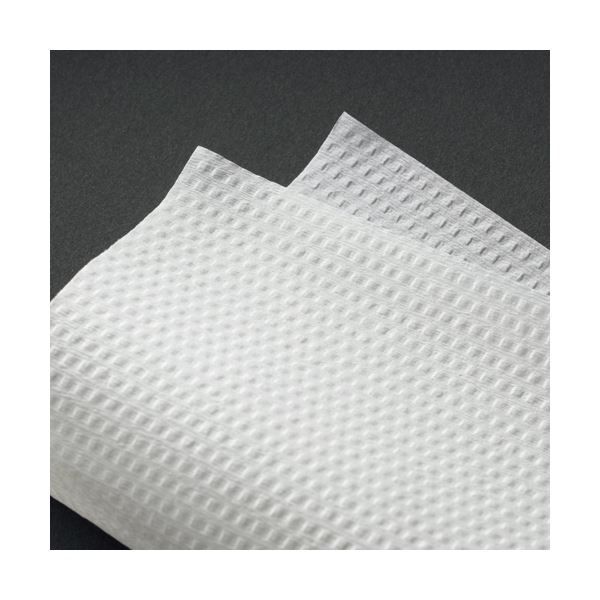 カルタス ビズーレペーパータオルミニ エコノミー パック 1ケース