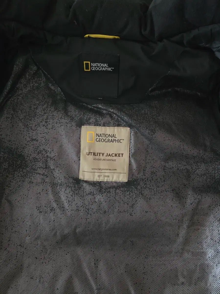 ナショナルジオグラフィック グースダウン