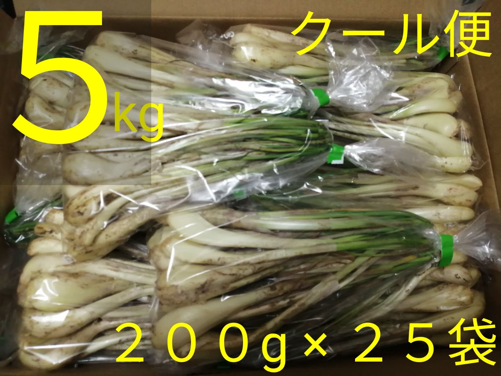 【スポット大特価】【業務用】沖縄県産島らっきょう約5kg【クール便無料】