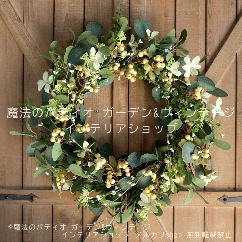 現品】チランジア・ドラティー 特大（2） Yahoo!オークション - 【現品