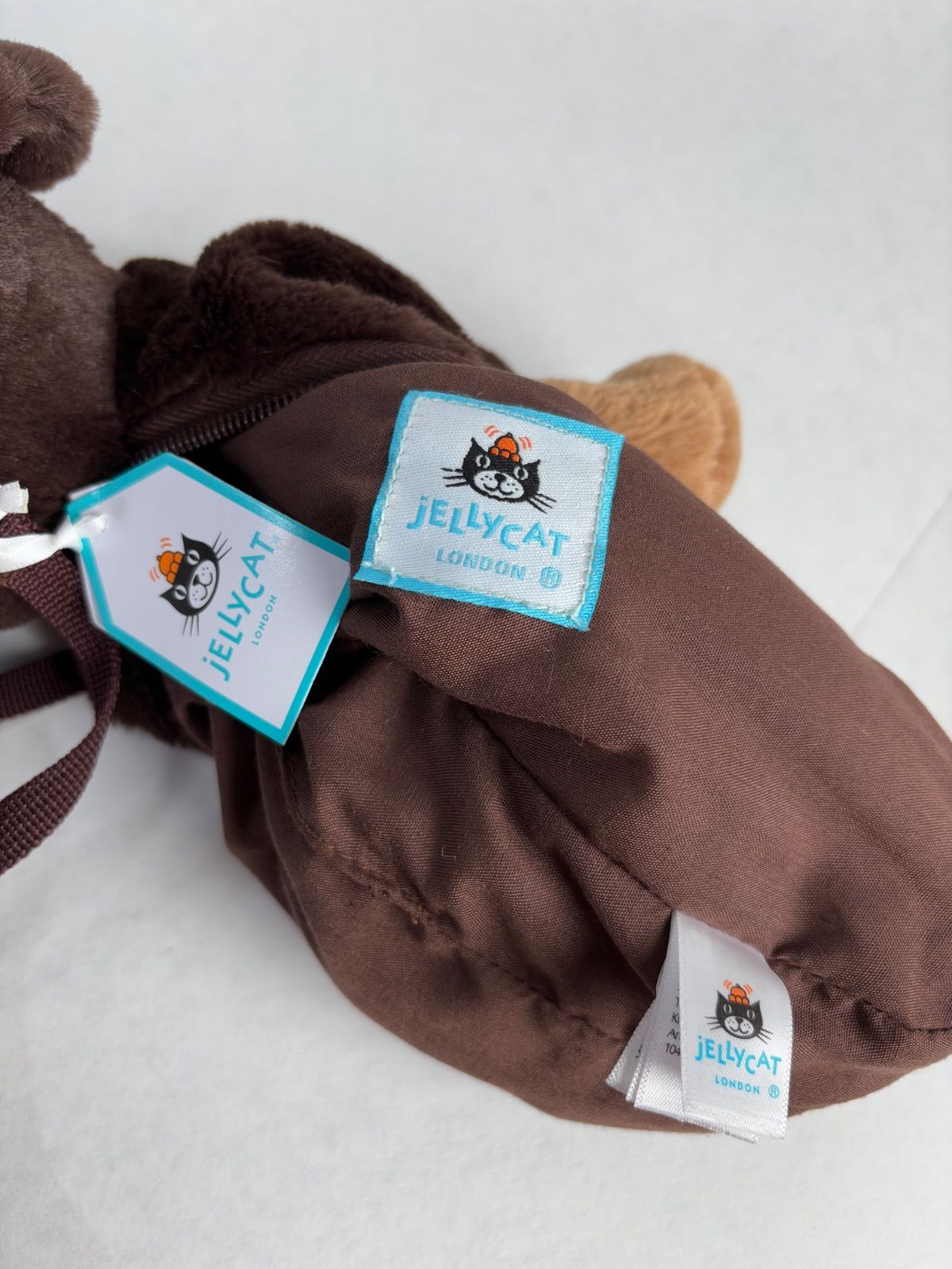 ダックスフント ミニチュアダックス