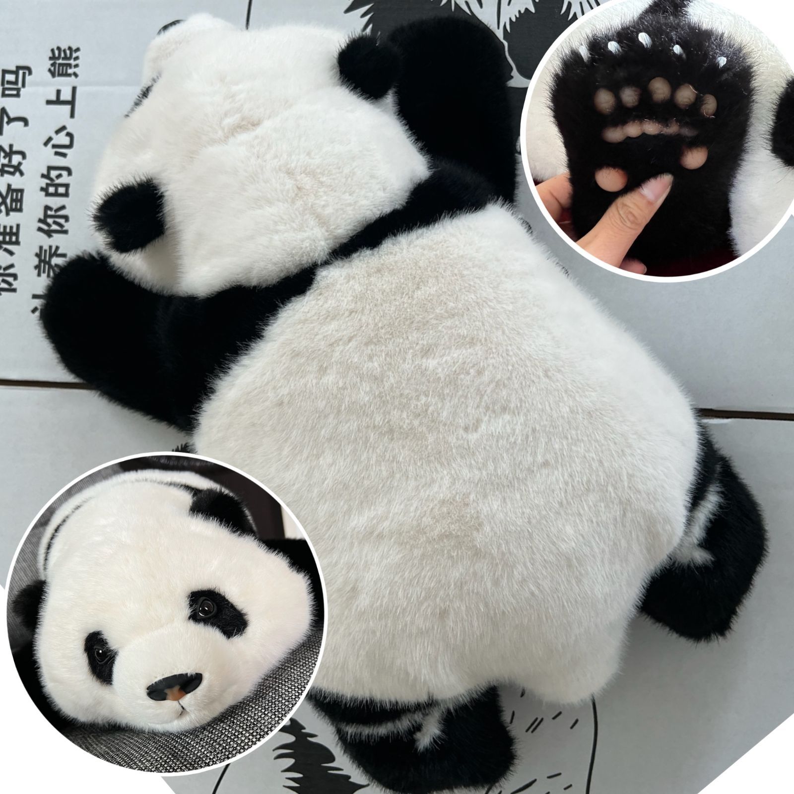 リアルで癒される！5ヶ月齢パンダぬいぐるみ ファファ 人気急上昇中のアイテムが パンダ 高品質 5ヶ月齢ファファ リアルパンダぬいぐるみで特別な
