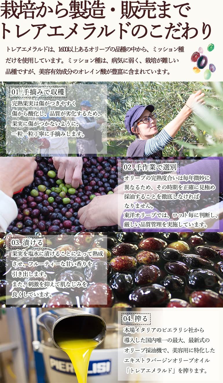東洋オリーブ ト