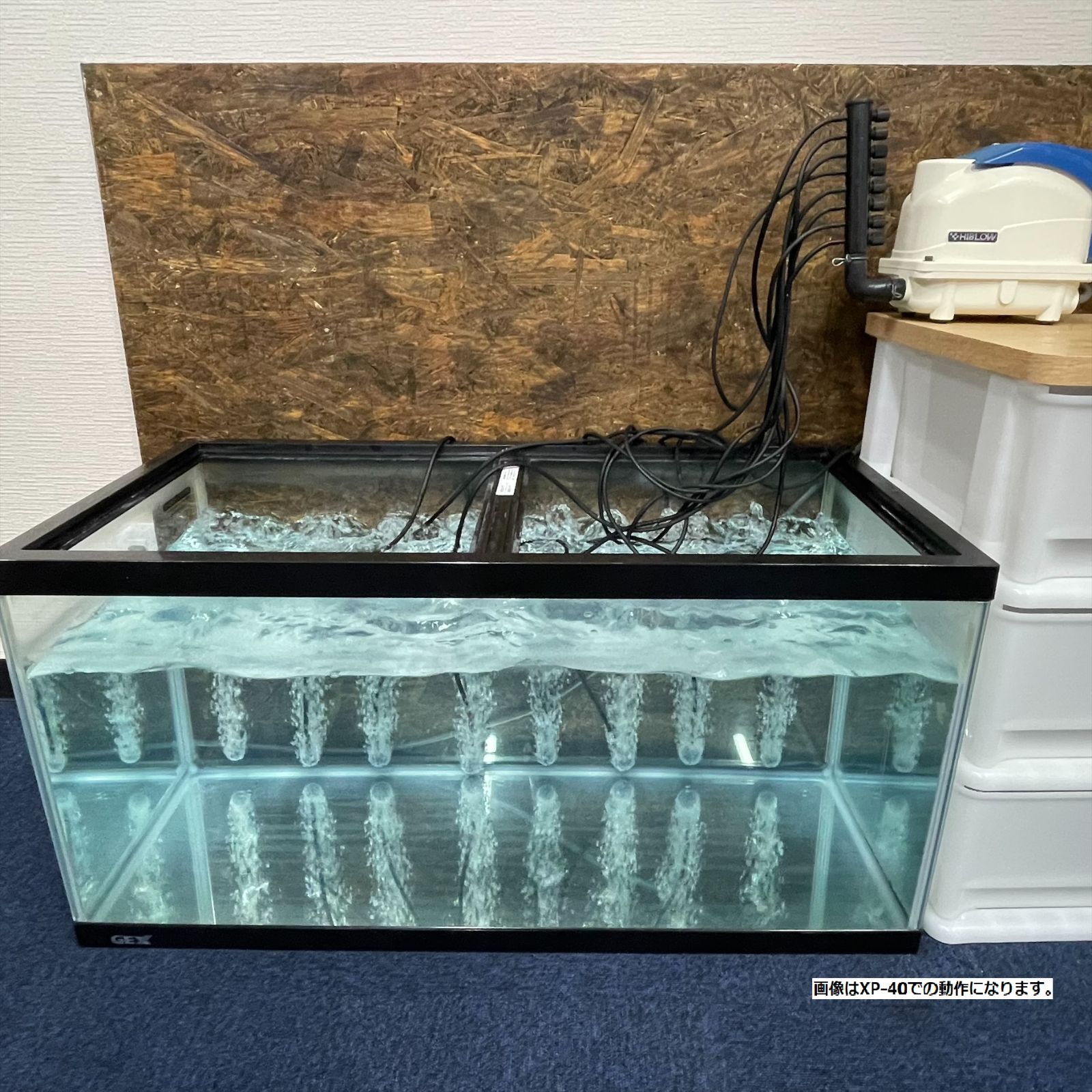 浄化槽