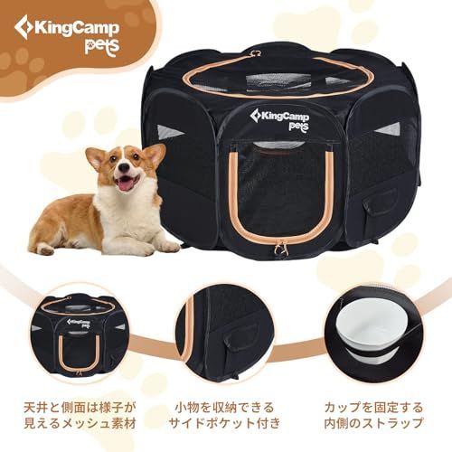 小型犬 八角形