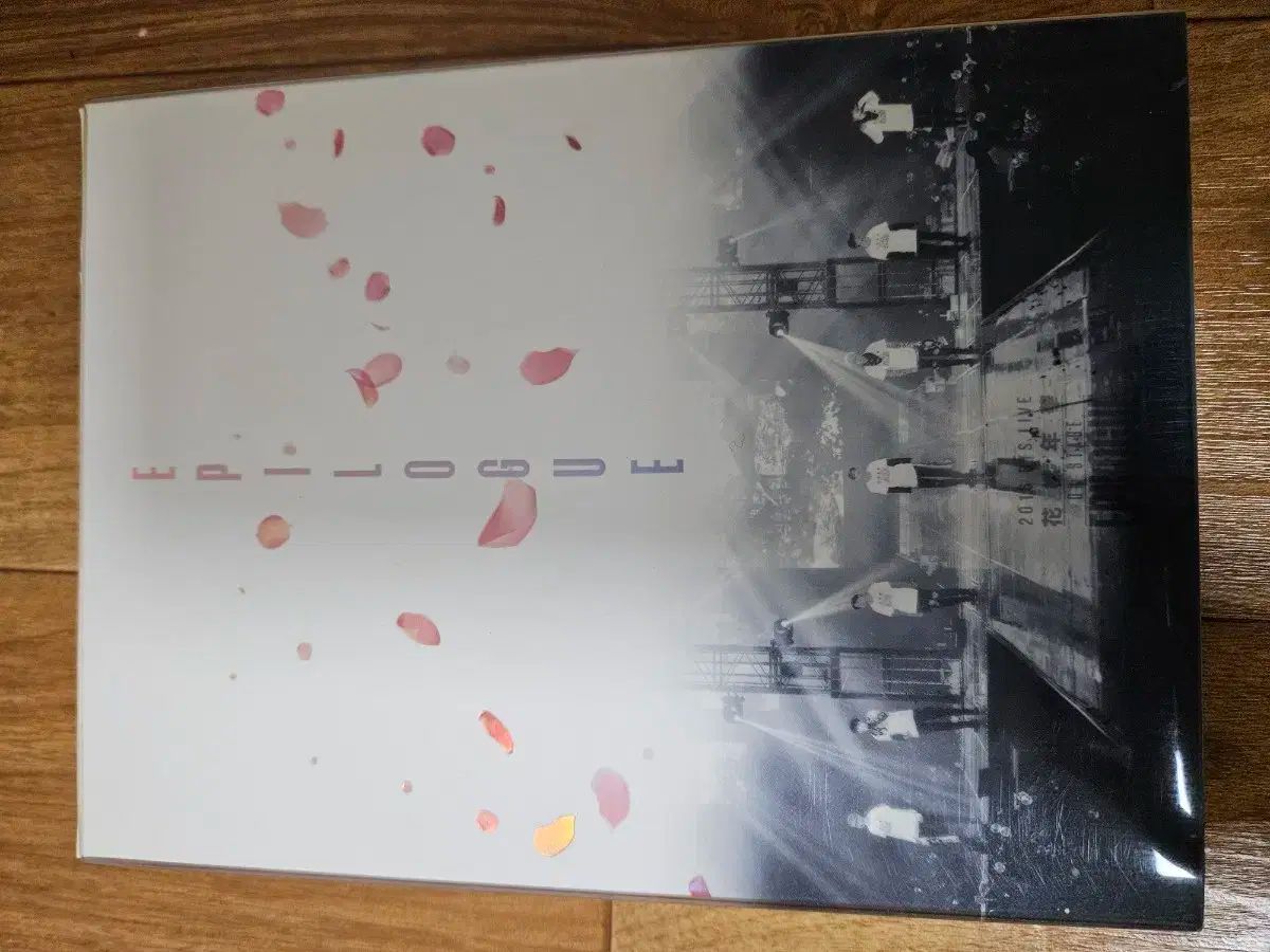 セラドン焼き サイアムセラドン 大皿、中皿、小皿、箸置き（薬味置き