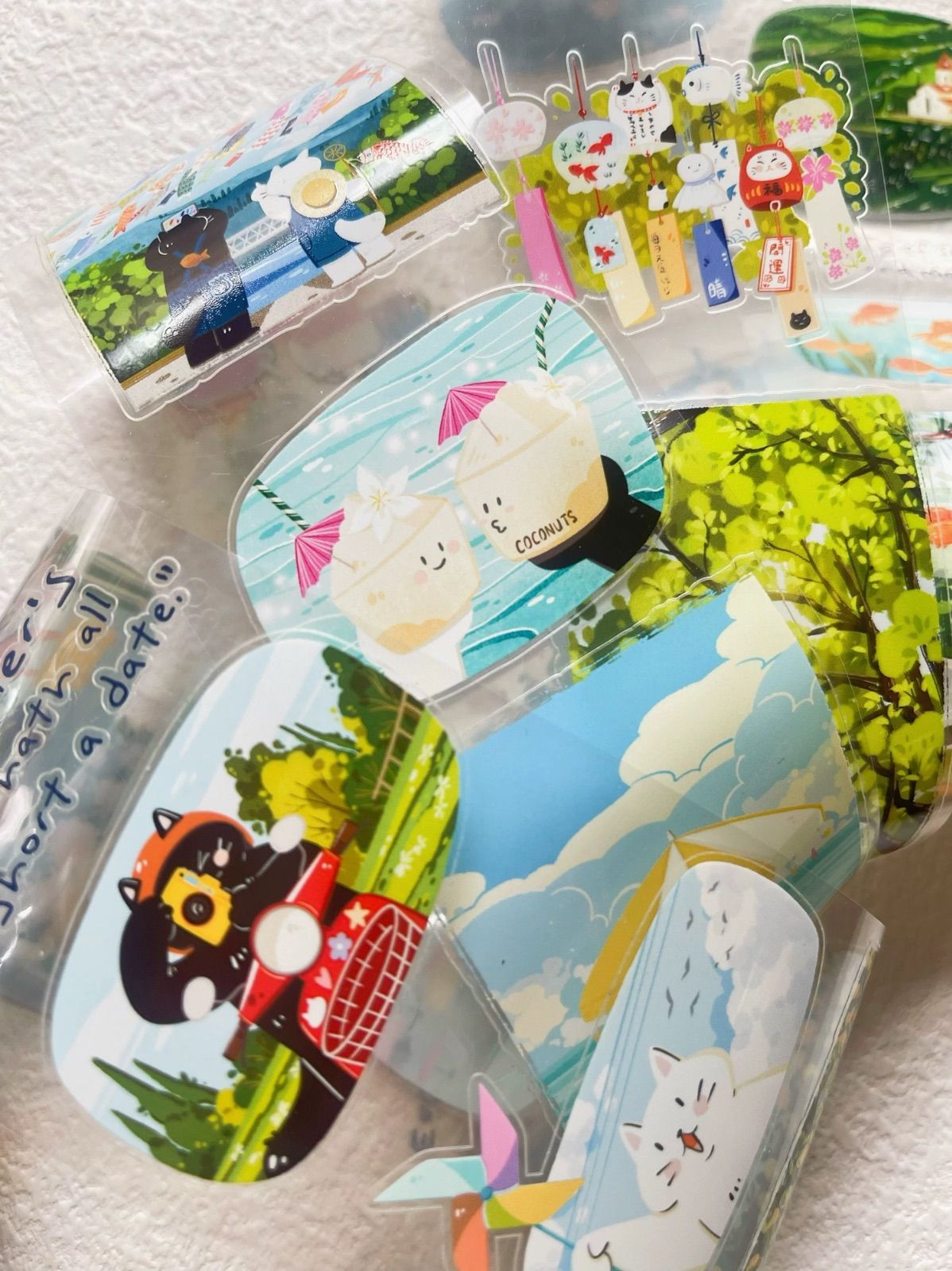 251063 海外マスキングテープ巻き売り 夏日炎炎 ねこ アニマル 装飾