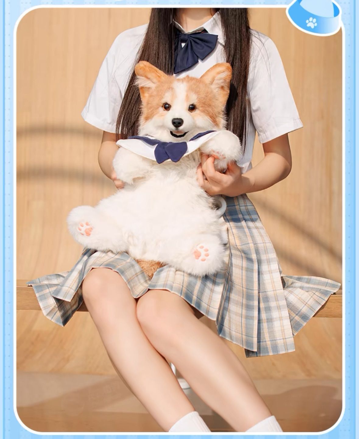 大人气】Chongker Cat “柯基犬” “コーギー” シュショートヘア