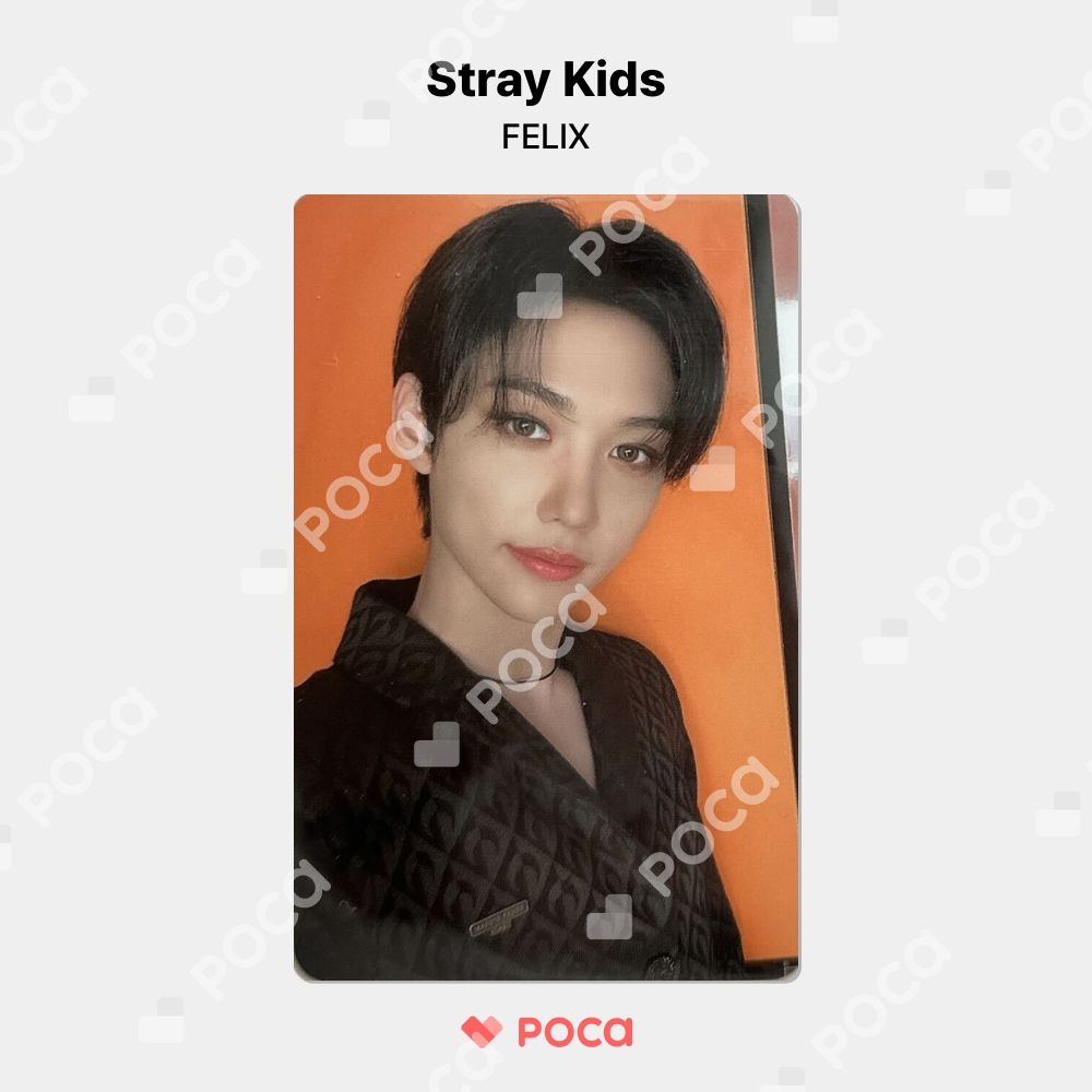 straykids フィリックス スキズ トレカ 'Stay in STAY' JEJU