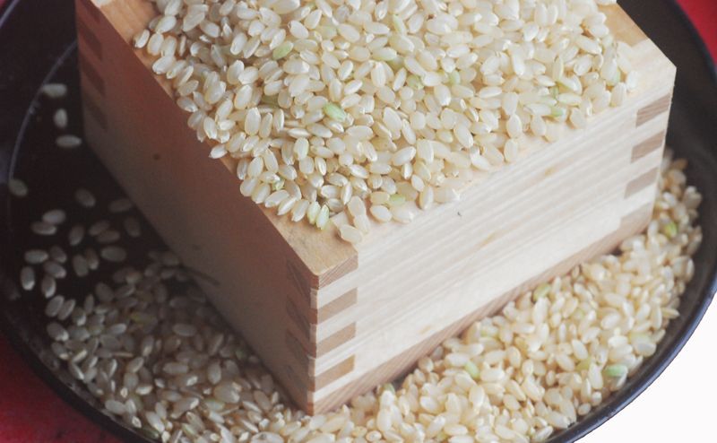 農薬少なめR6年産 ミルキークイーン 玄米 10kg 冷めてもピカピカ