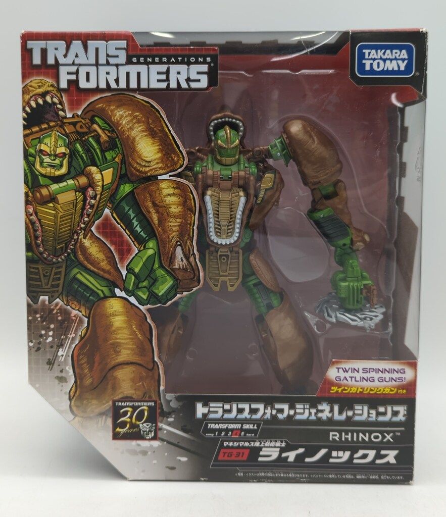 ドルステニア エレンベッキアナ 陶器鉢付き