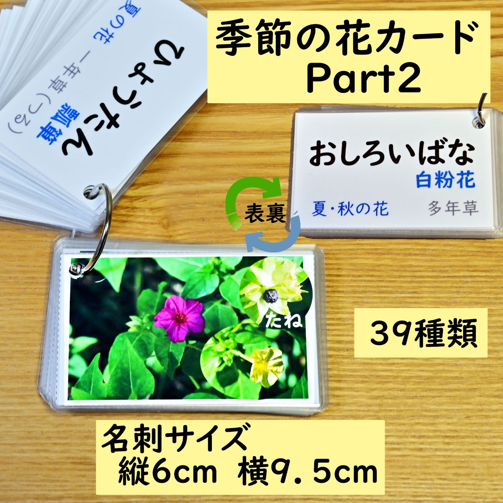 季節の花カード Part2 四季の学習に 小学校受験に - メルカリ