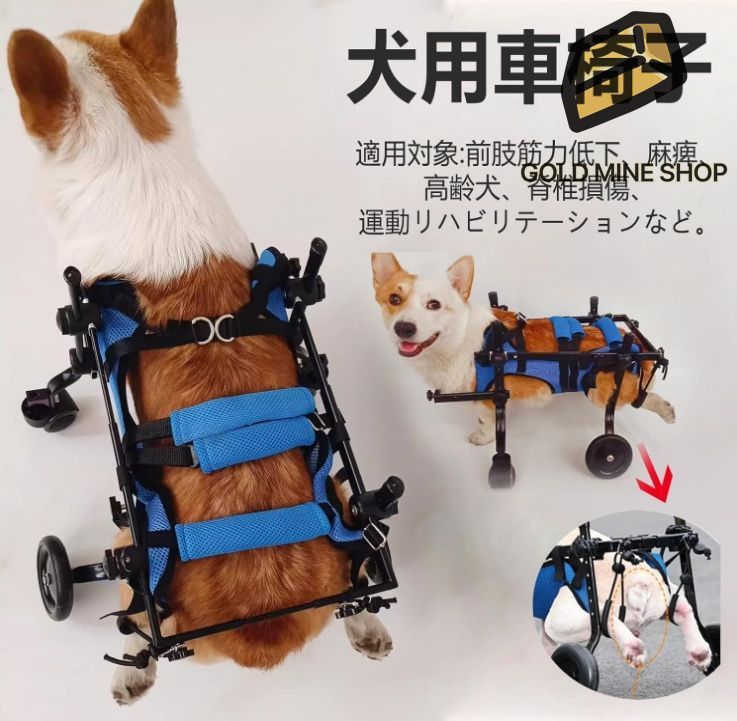 犬用車椅子 4輪 犬用歩行器 犬用 車いす ペット/猫/犬カート サイズ調整可能 愛犬の 車いす 犬補助歩行器 老犬介護 リハビリ 障害ペット 前足用  麻痺した後足のための犬補助歩行器 M - メルカリ