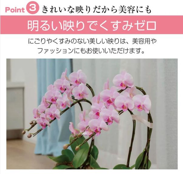 フィルムミラー 全身鏡 幅100x160cm 軽壁掛け鏡 木色 キャスター付 楽天市場】【お買い物マラソン1000円クーポン】割れない鏡 姿見