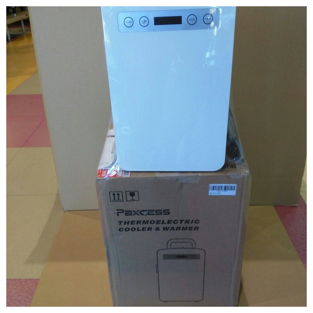 Paxcess 10L 冷温庫（PA-10L） 潔く