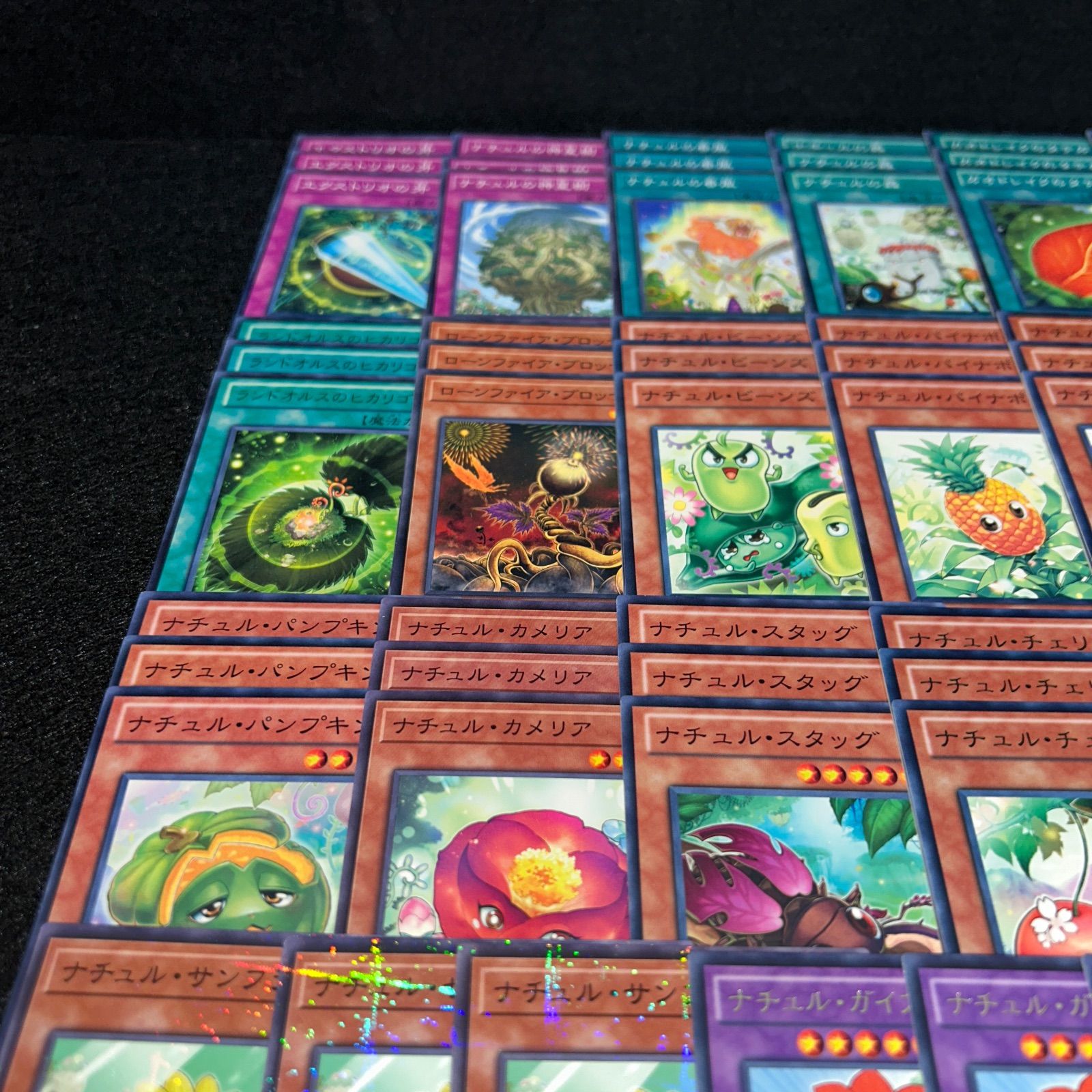 No.PP14 遊戯王 ナチュル デッキパーツ 構築用 ナチュルビースト 