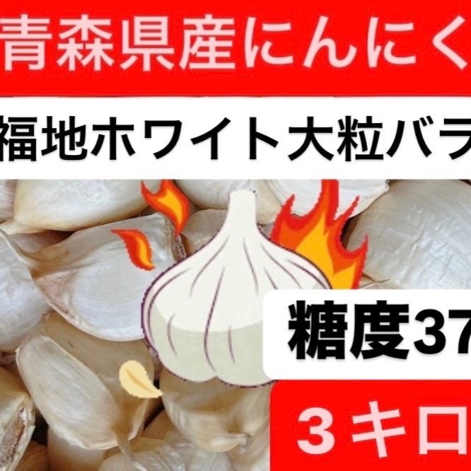 青森県産にんにく 福地ホワイト大粒バラ3キロ
