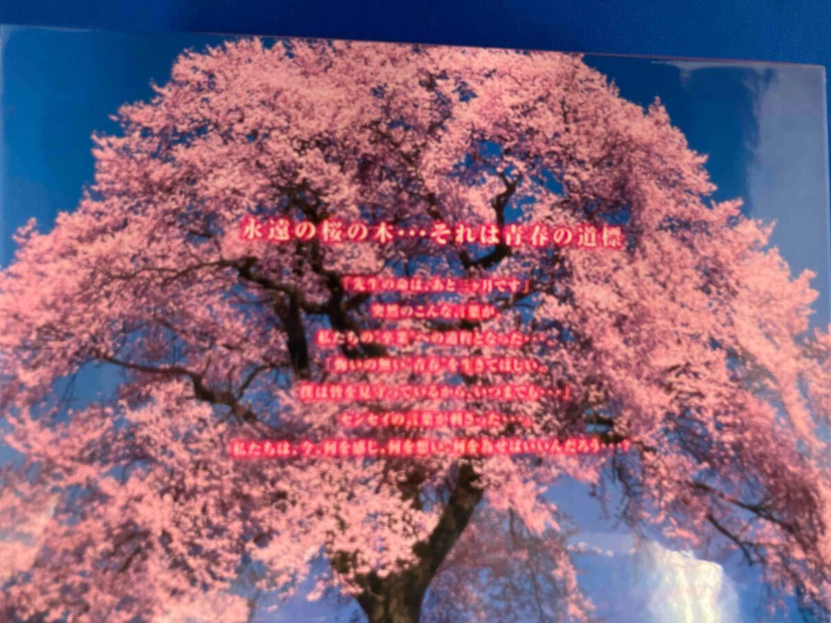 DVD 桜からの手紙~AKB48それぞれの卒業物語~豪華版 DVD-BOX(初回