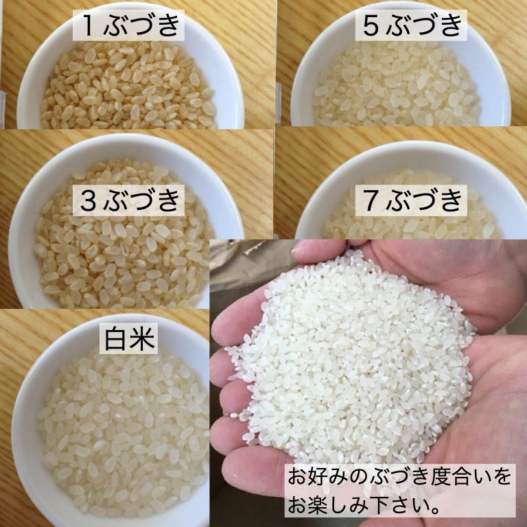 広島県産 あきろまん 令和5年産 玄米 30kg お米 美味しい 出荷直前精米 つきたて米 ぶづき米 白米 新鮮米 送料無料 - メルカリ