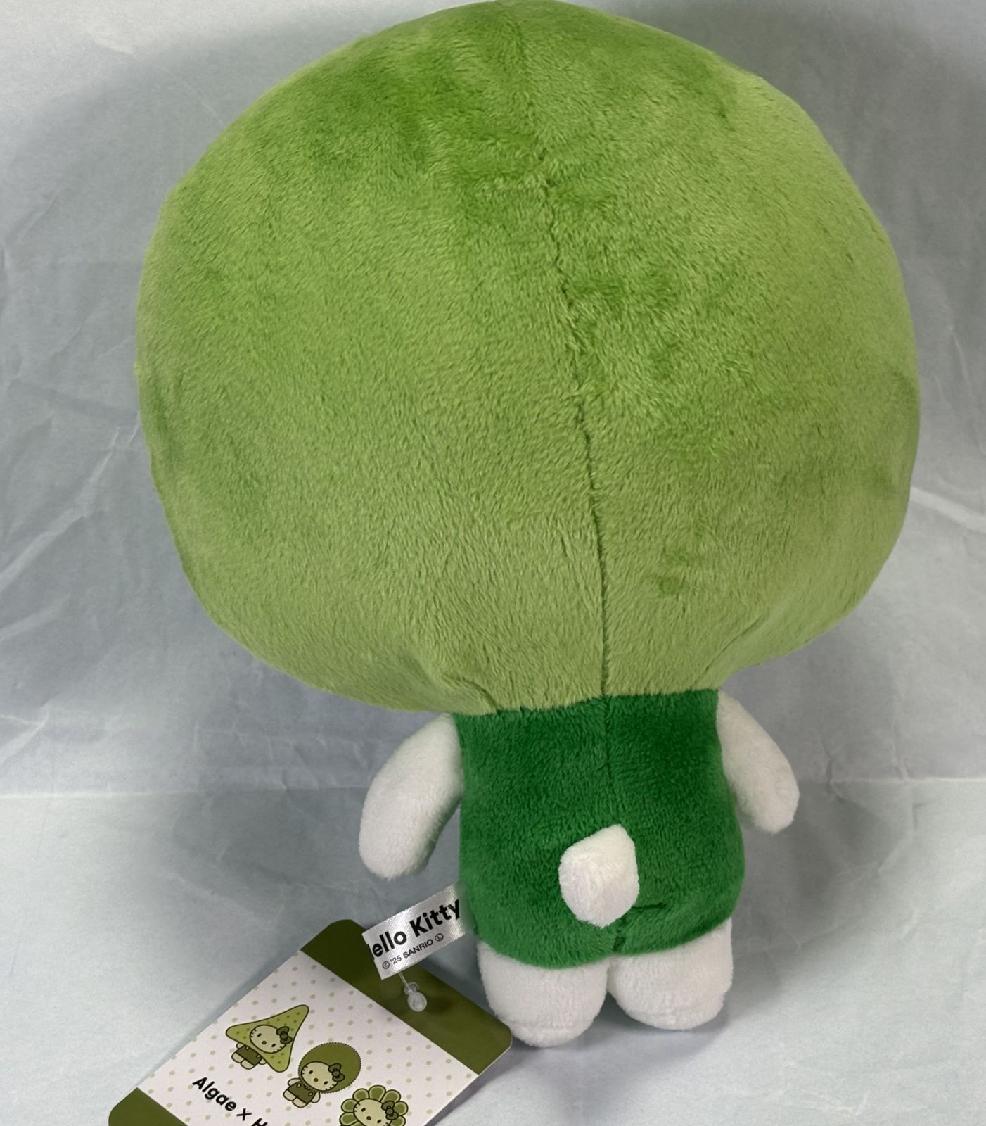 新品 タグ付き マリモ ぬいぐるみ ALGAE キティ 藻 藻類 日本館