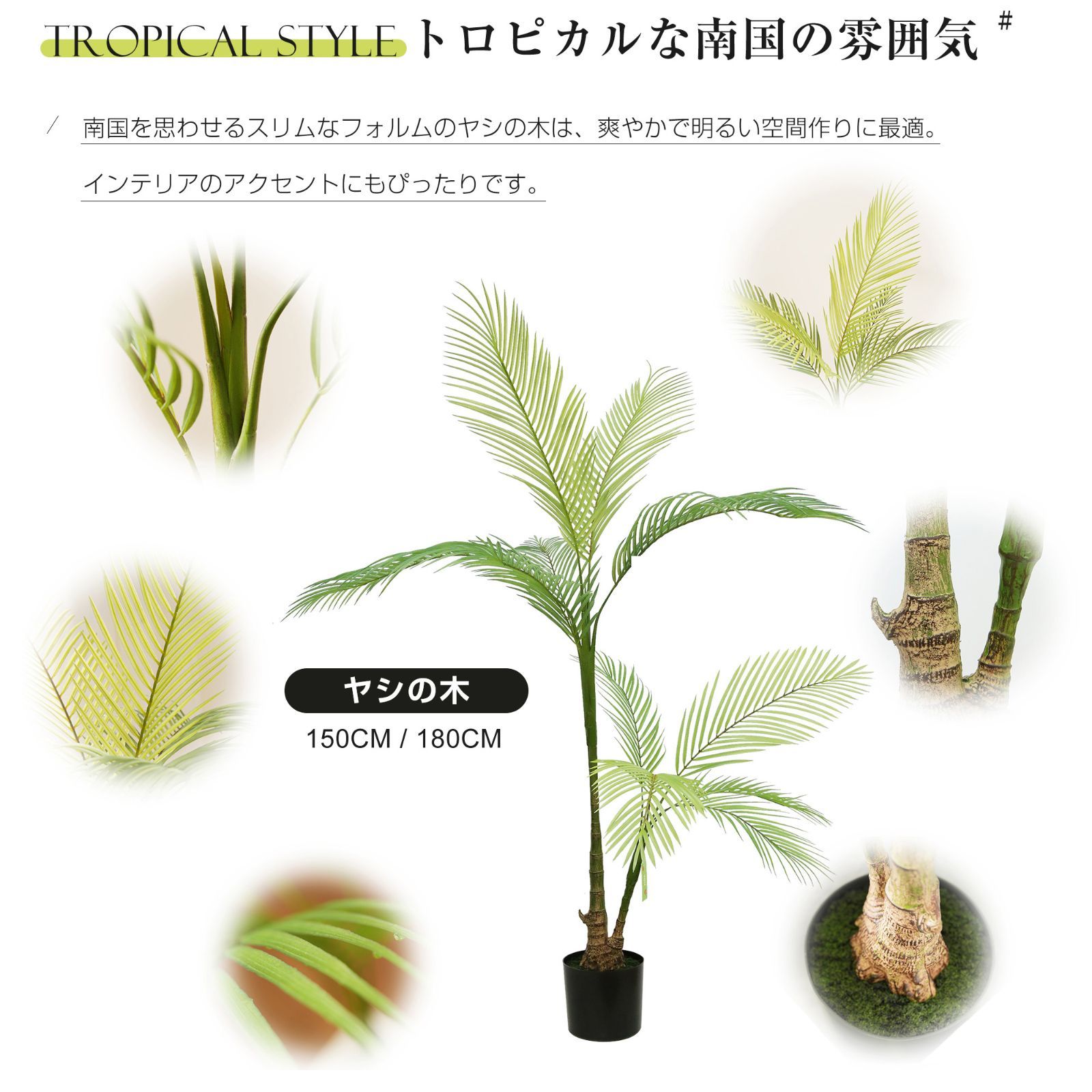 150cm 大型迫力