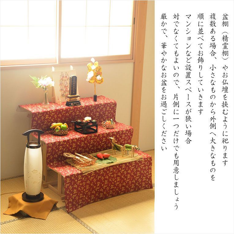 白芙蓉