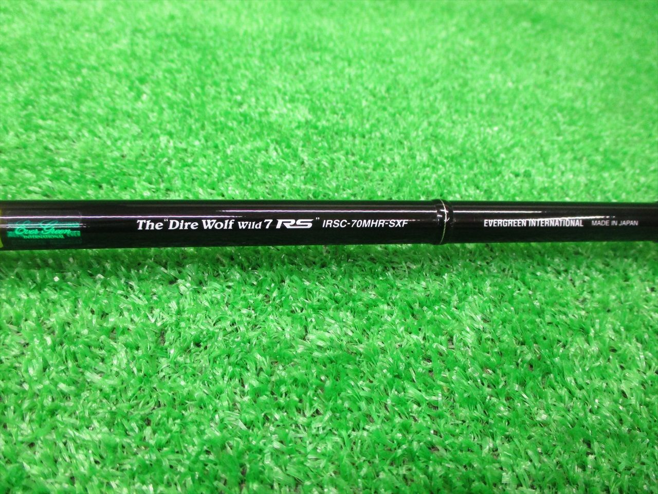 エバーグリーン