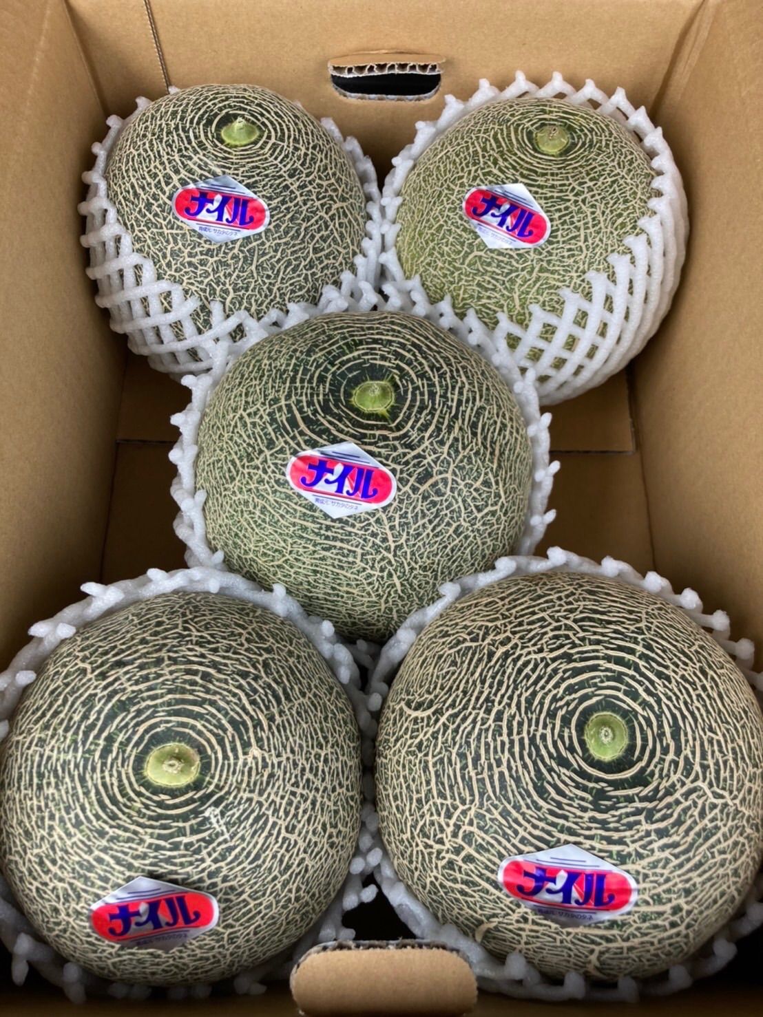 幻のメロン ナイルメロン 2L 5玉 千葉県産 送料込み - メルカリ