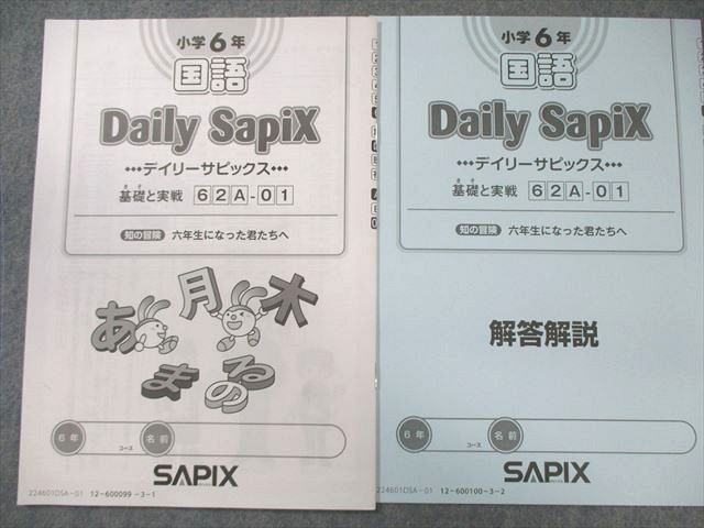 SAPIX 小6 サピックス デイリーA/B/サマー/夏期デイリー