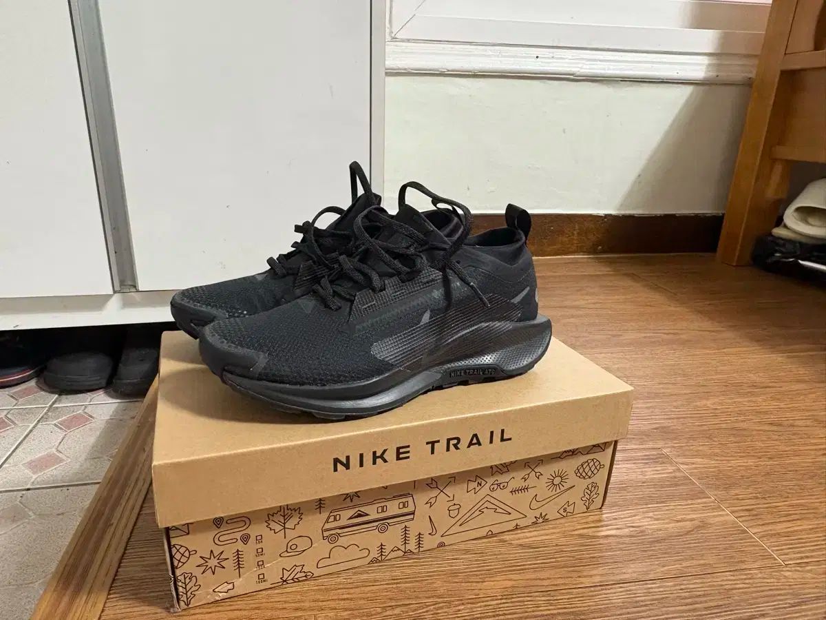 NIKE ナイキ ペガサス トレイル 5 GTX 黒